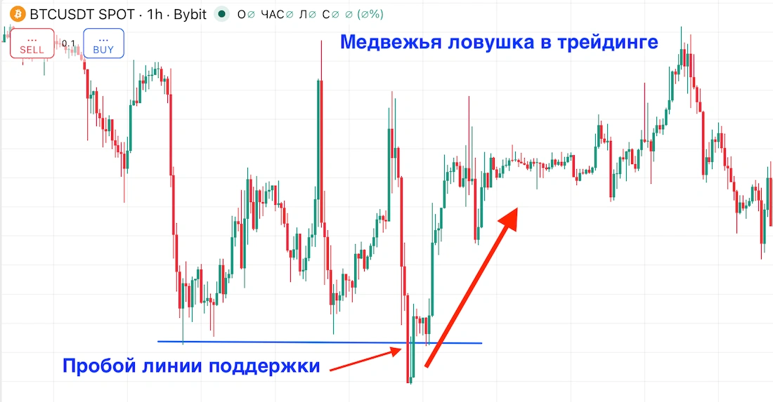 медвежья ловушка в трейдинге