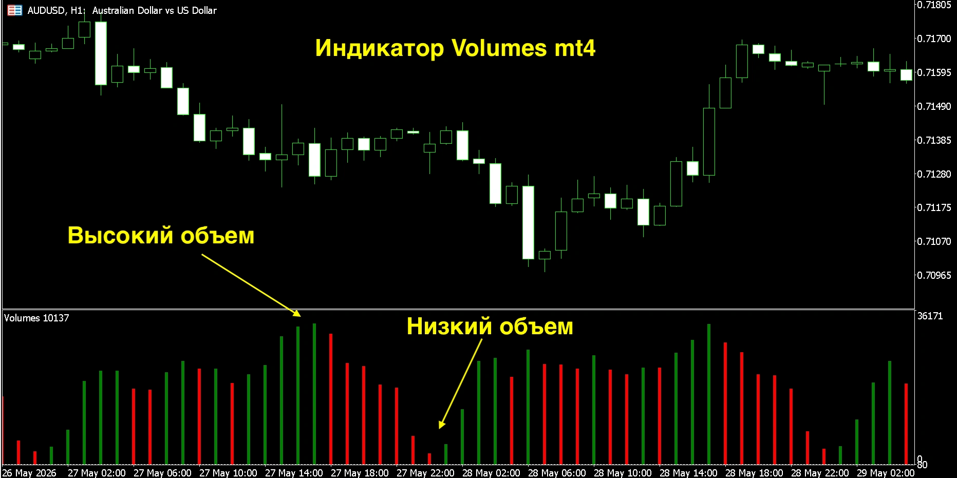 volume mt4