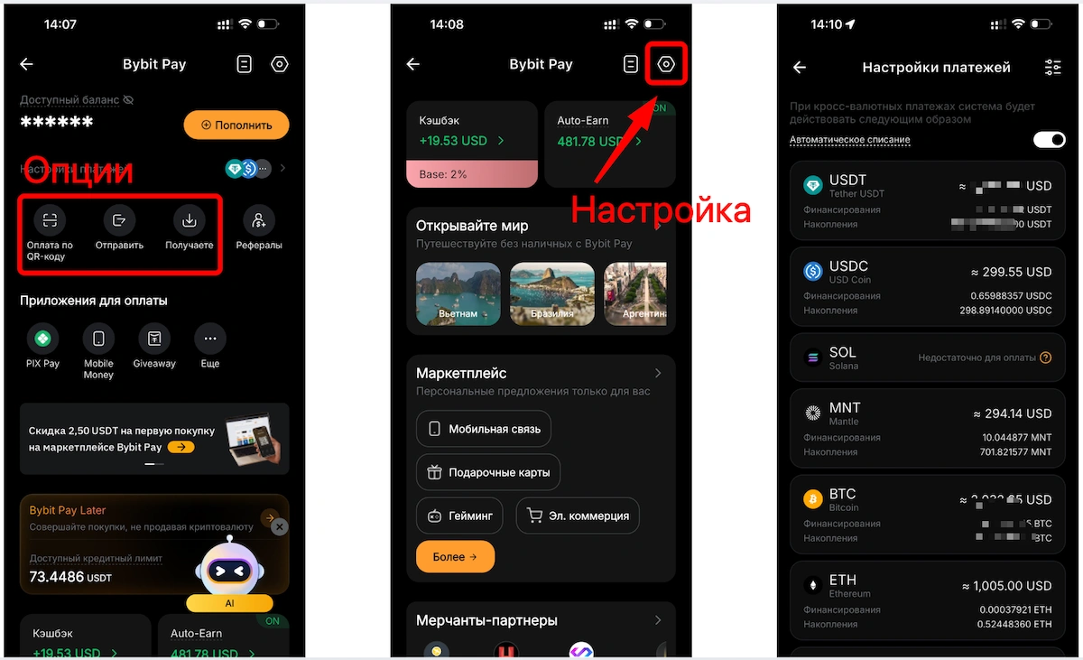 bybit pay интерфейс